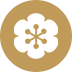 人流手術(shù)